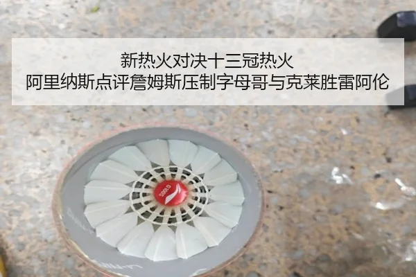 新热火对决十三冠热火 阿里纳斯点评詹姆斯压制字母哥与克莱胜雷阿伦